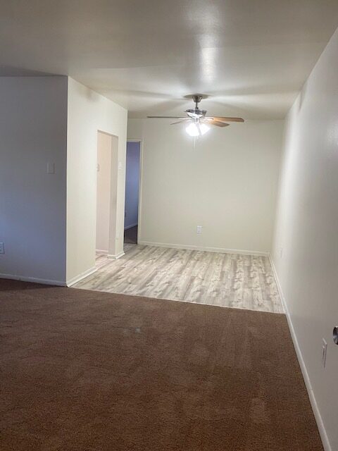Photo1
