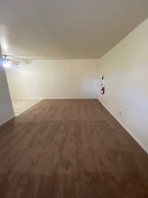Photo1
