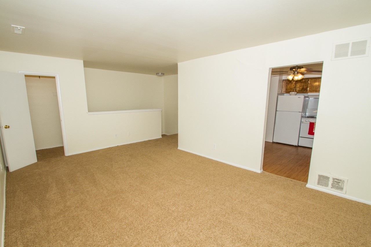 Photo1