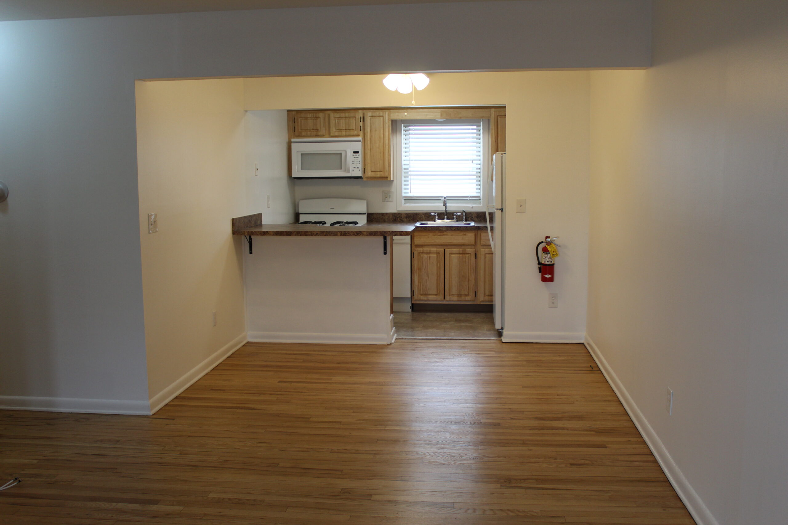 Photo1