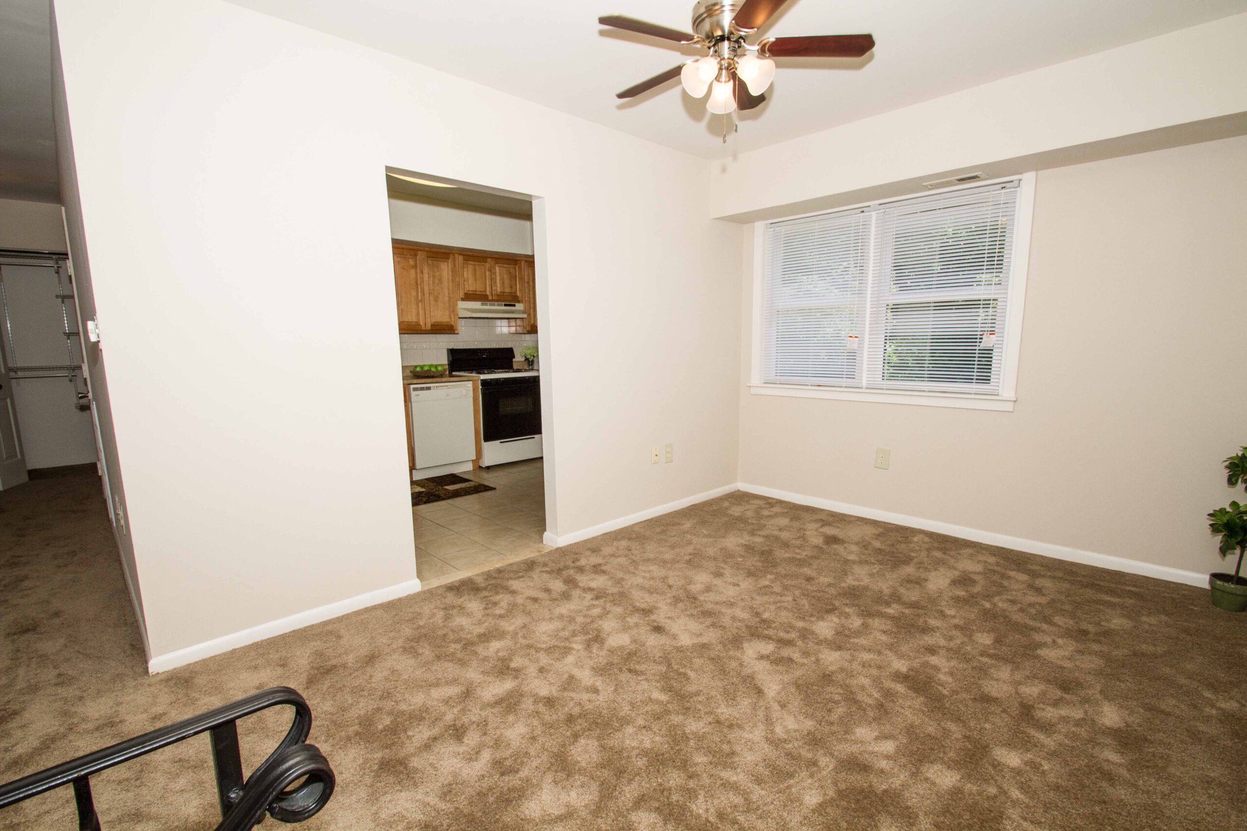 Photo1