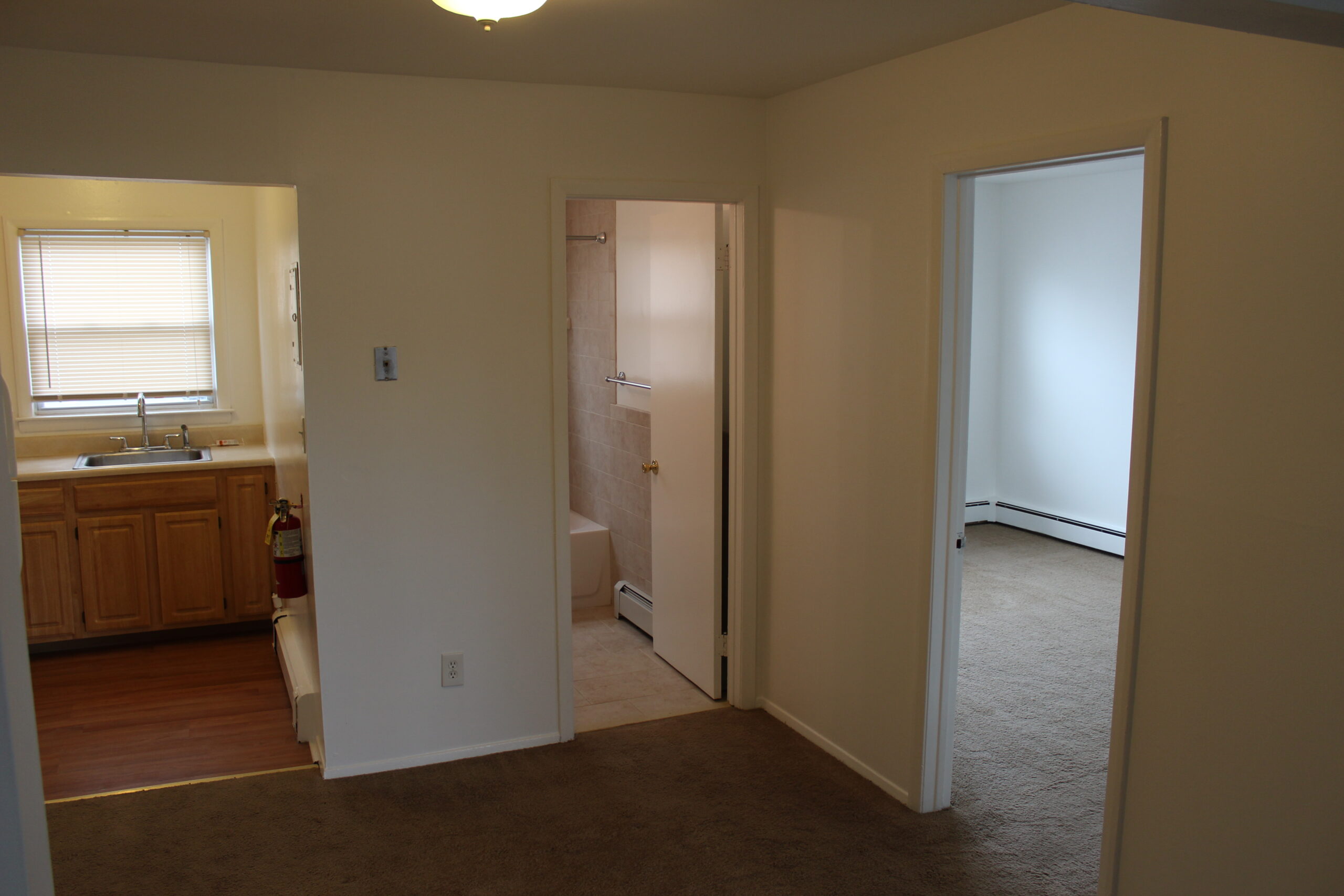 Photo1
