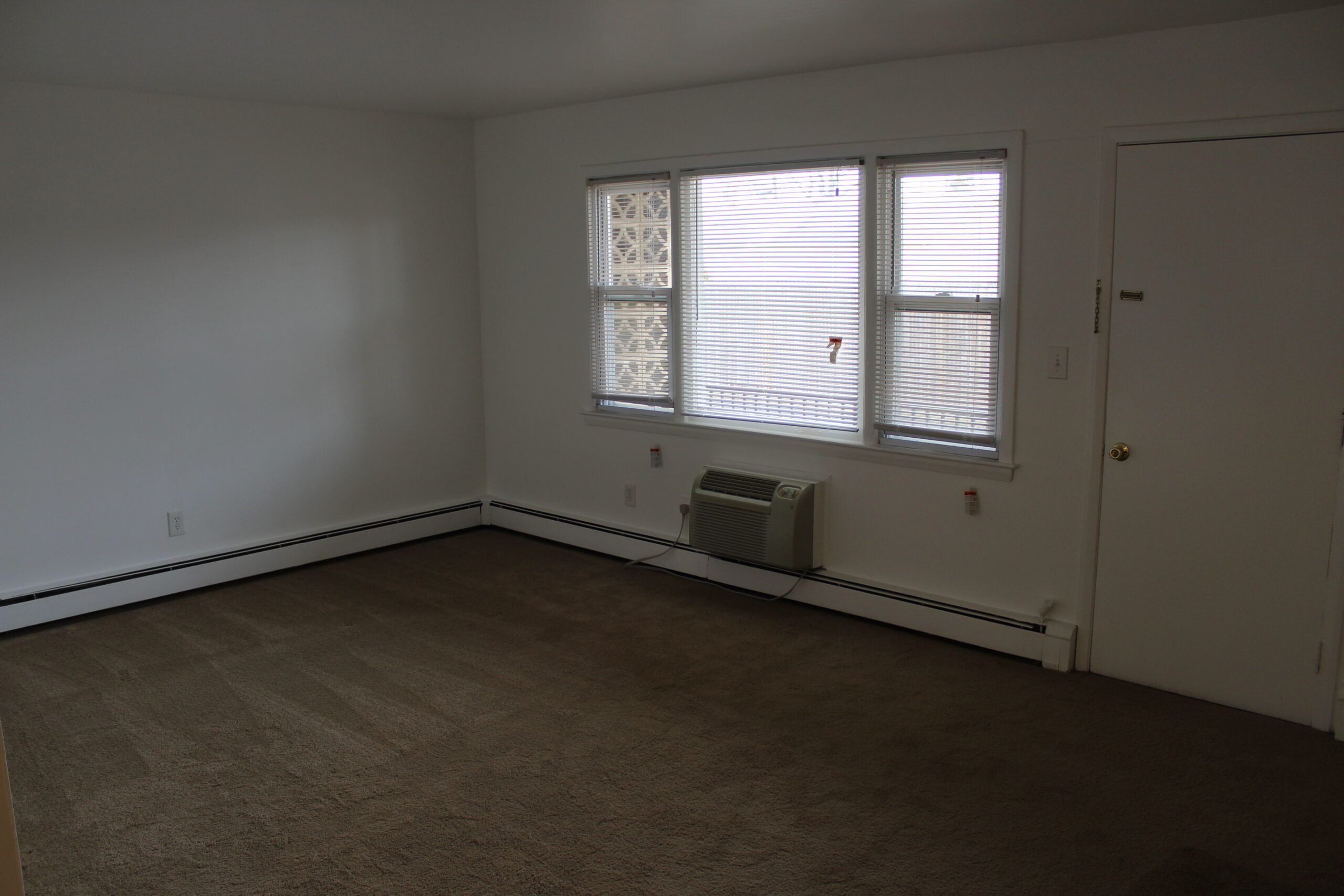 Photo1