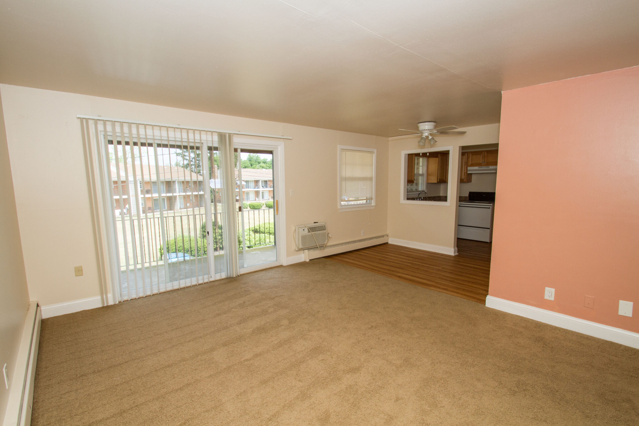 Photo1