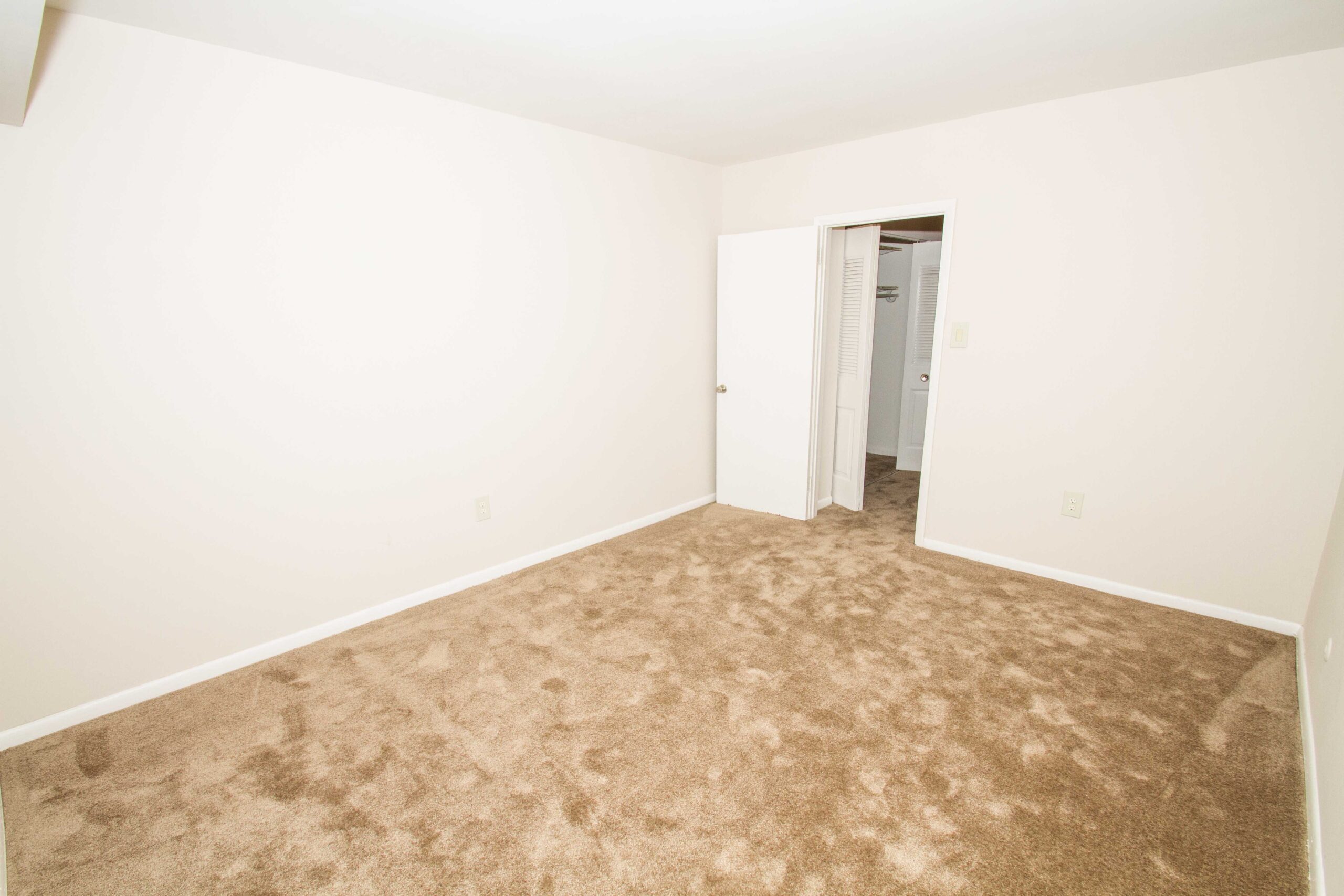 Photo1