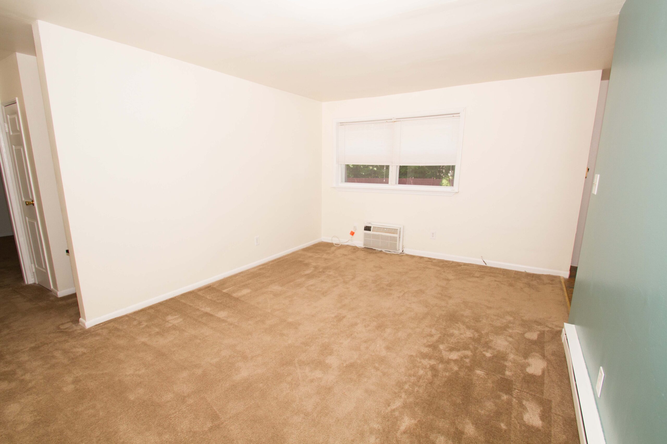 Photo1