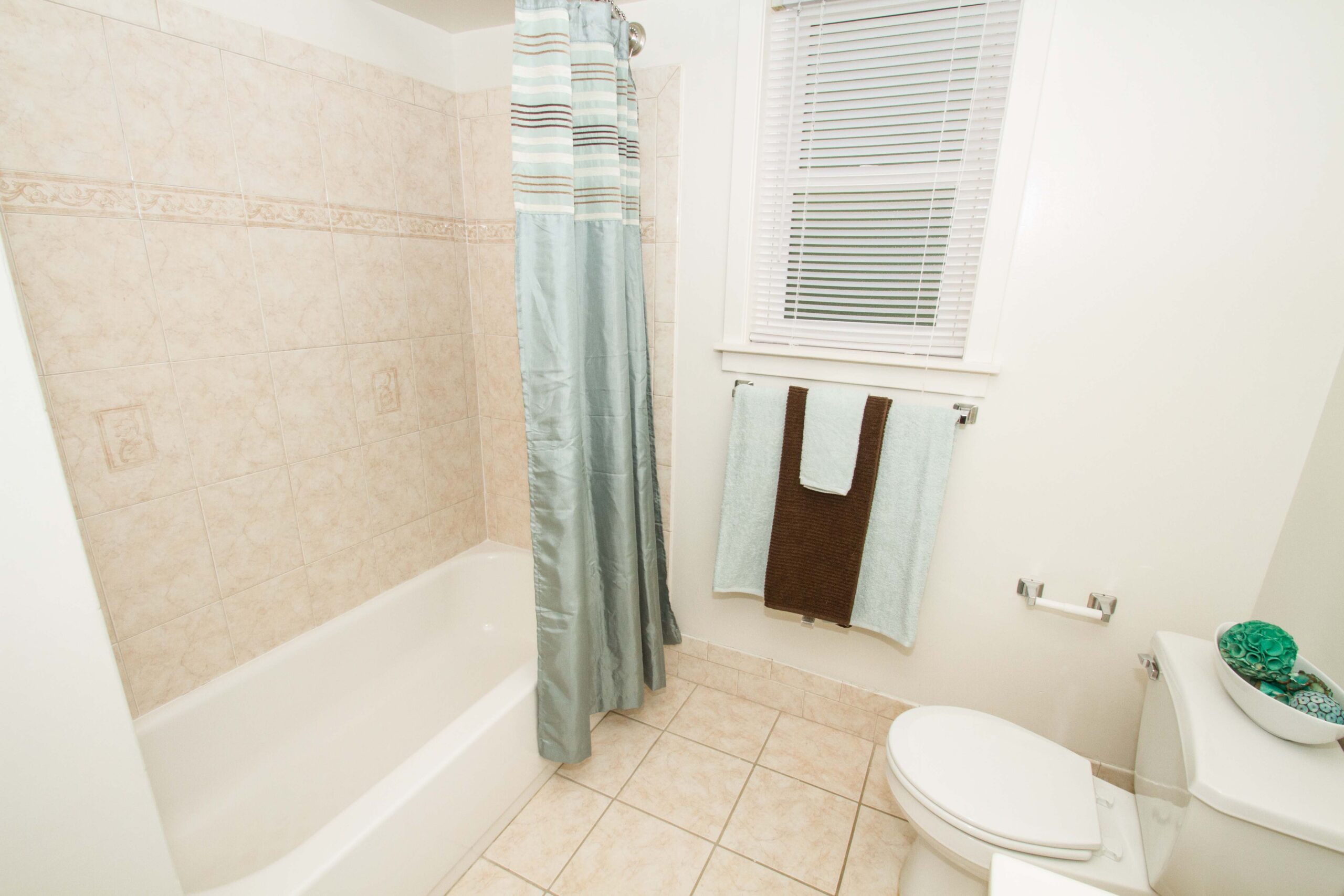 Photo1