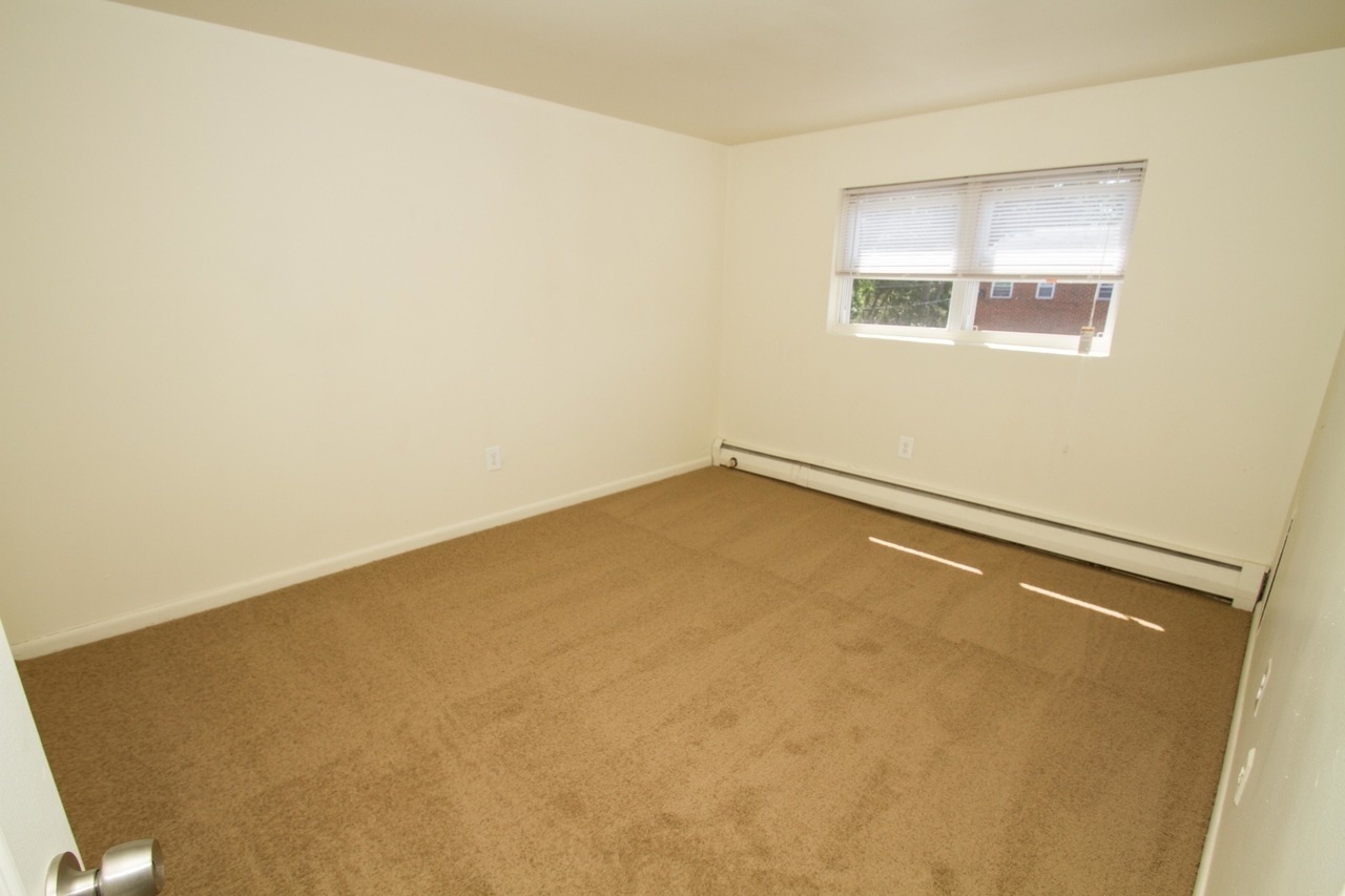 Photo1
