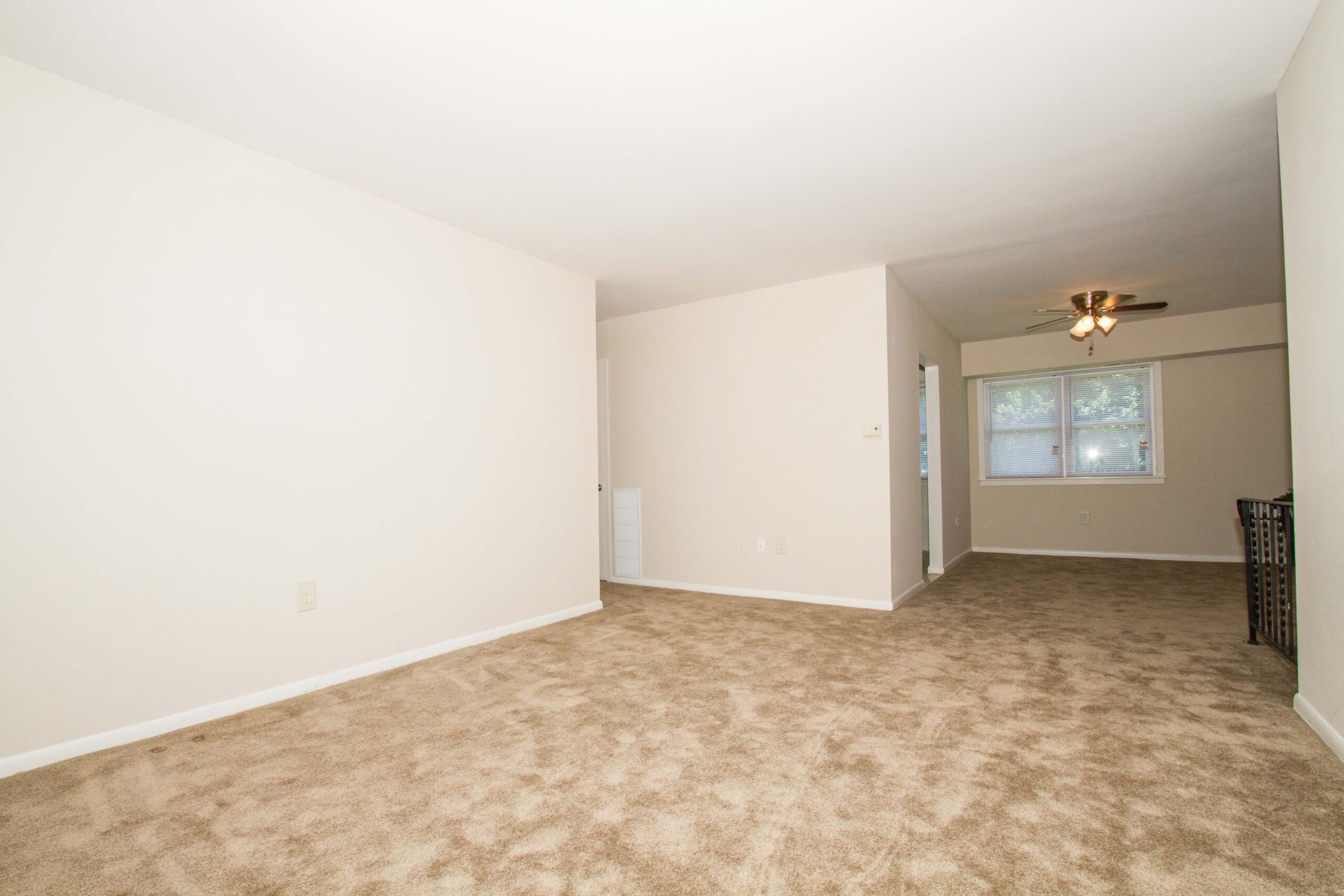 Photo1