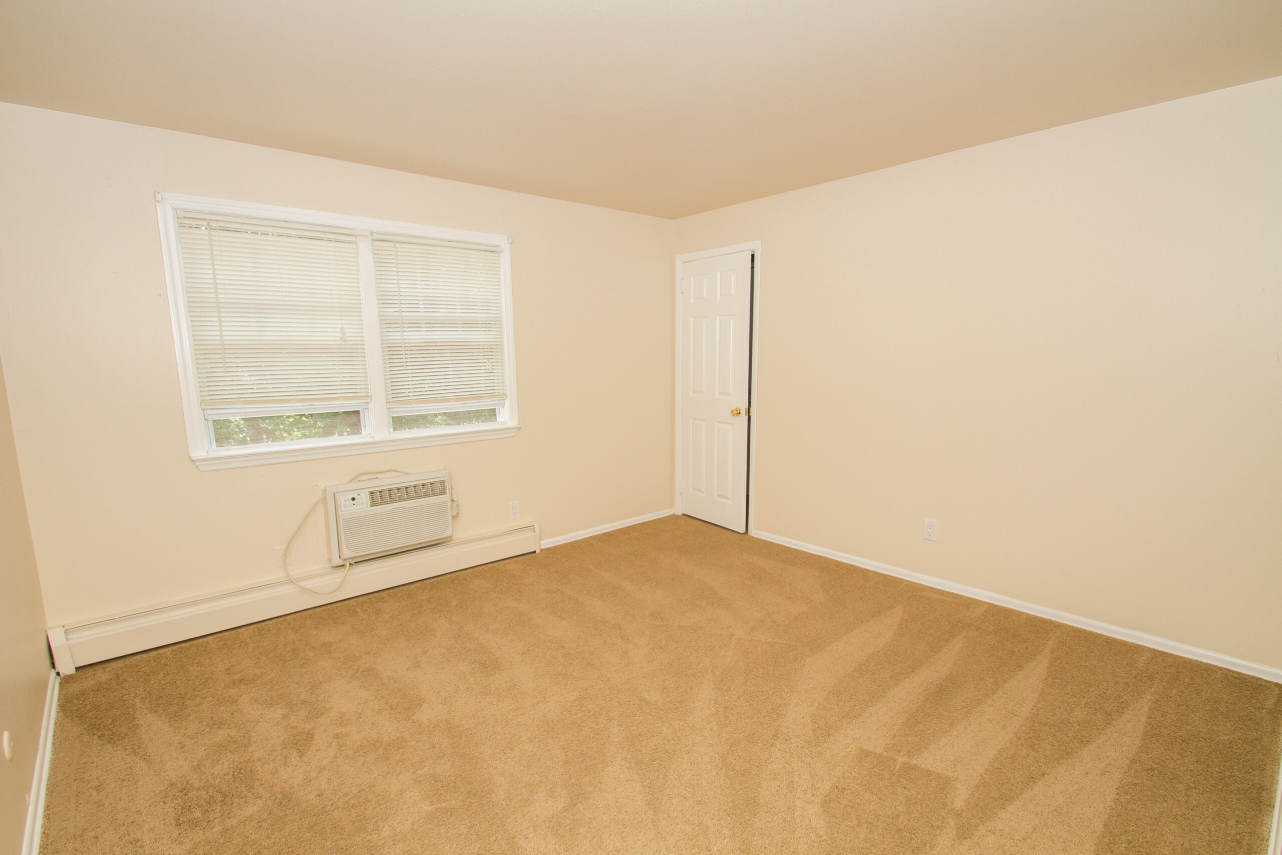 Photo1