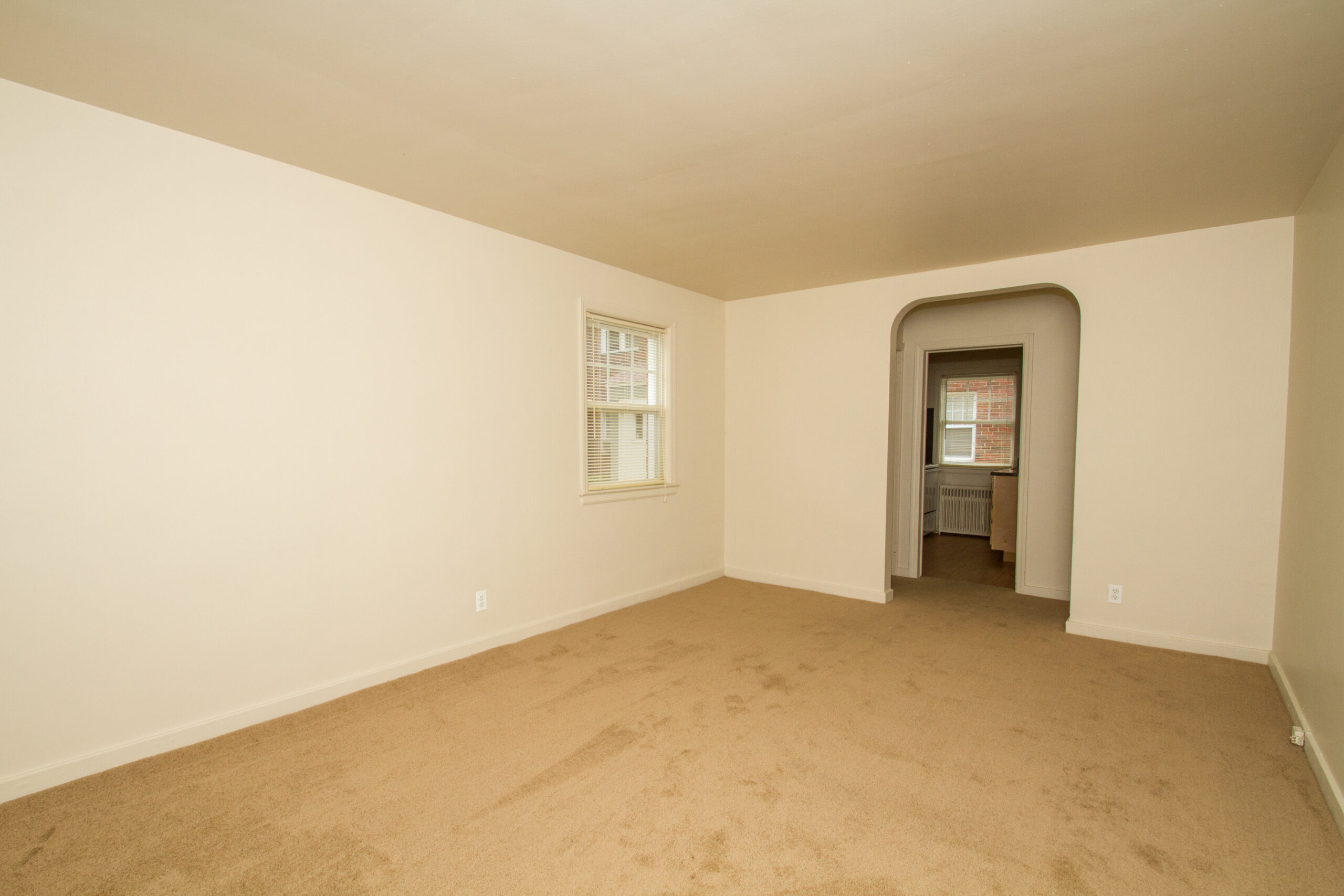 Photo1