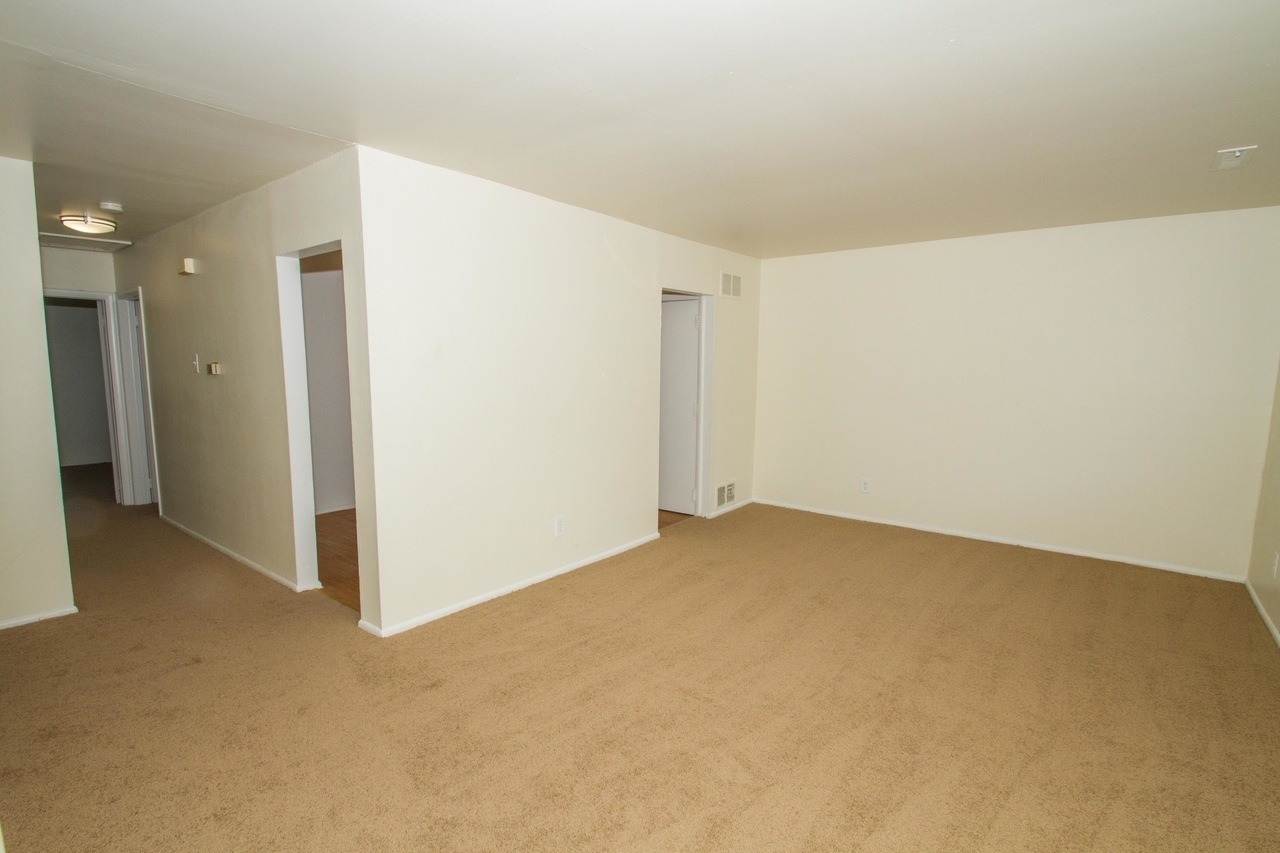Photo1