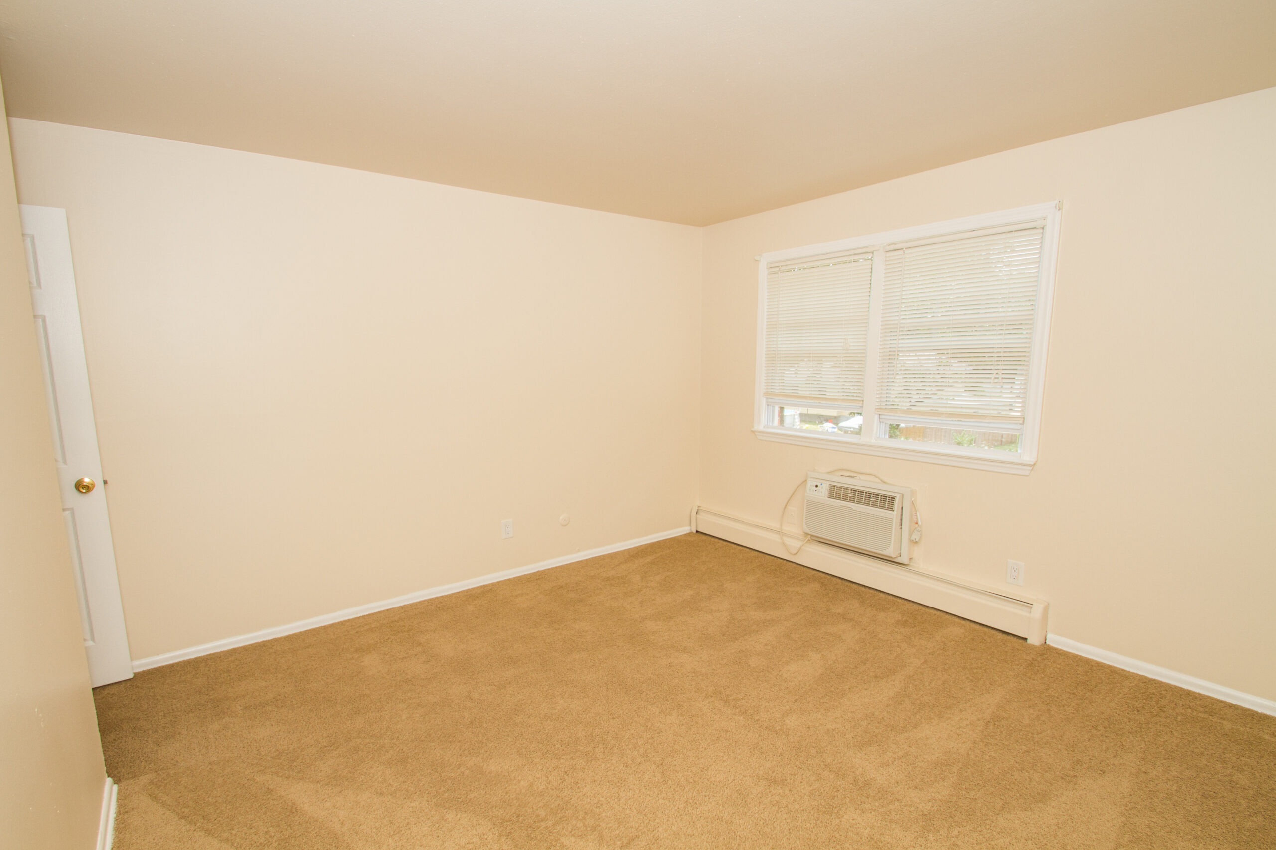 Photo1