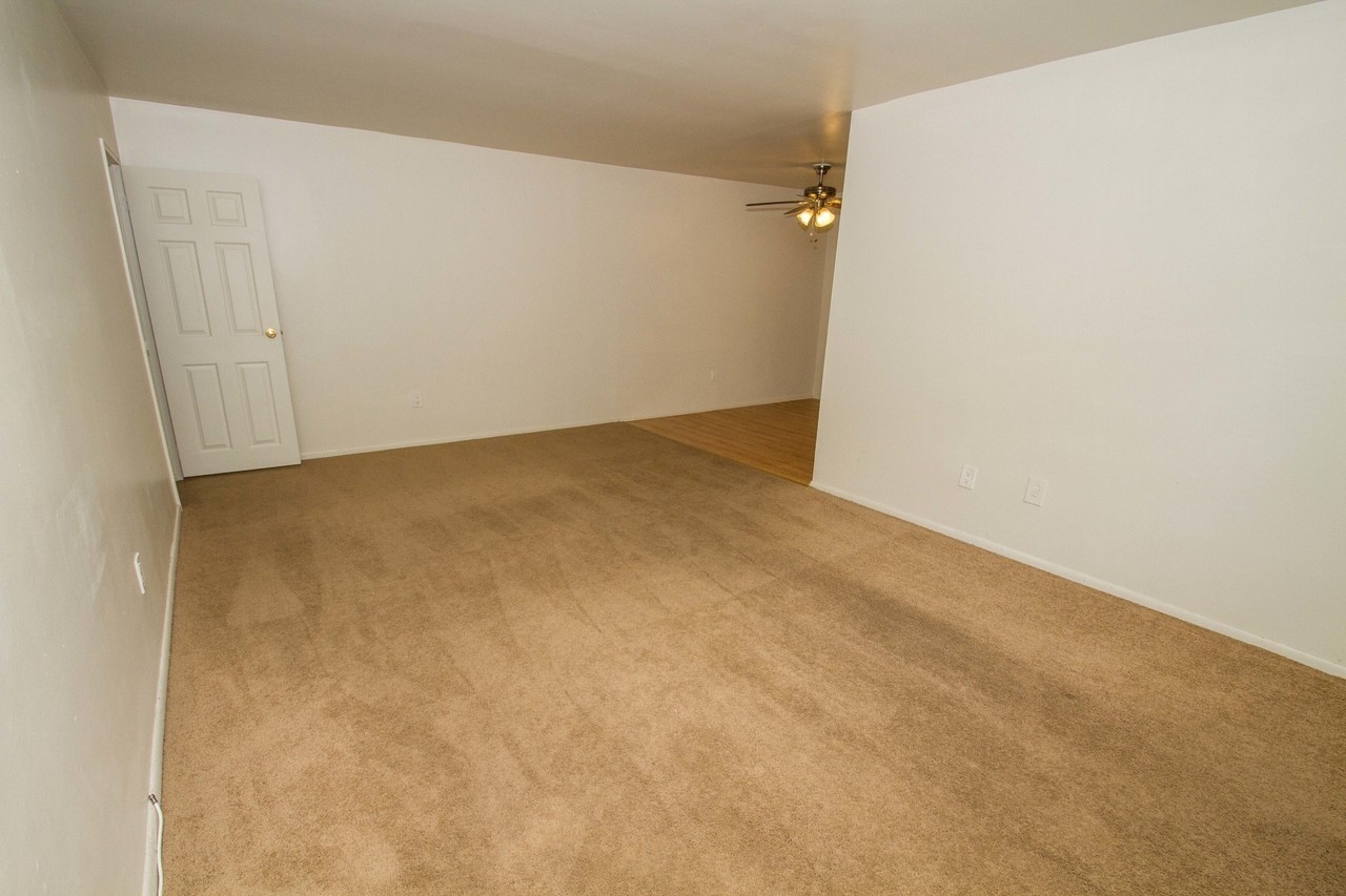 Photo1