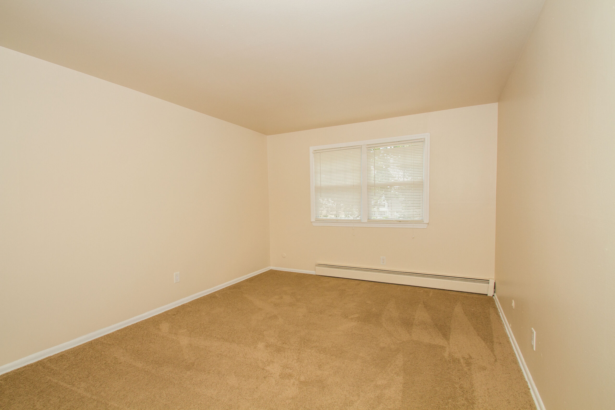 Photo1