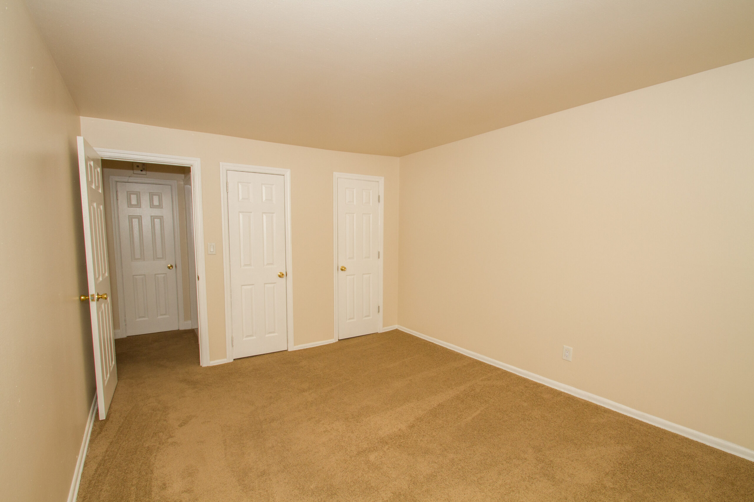Photo1