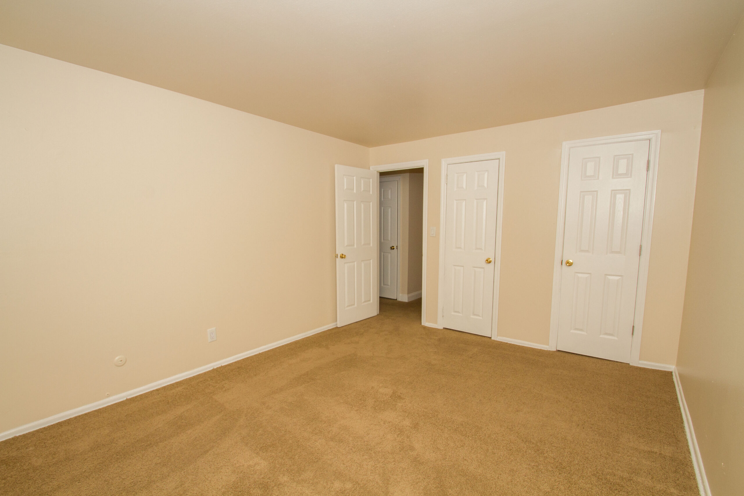 Photo1