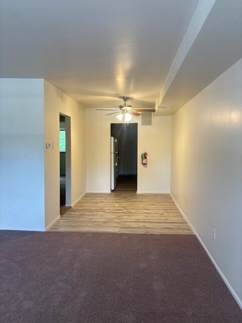 Photo1