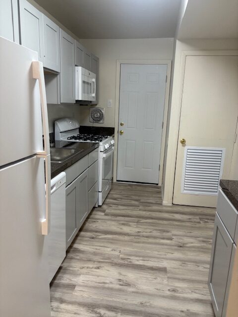 Photo1