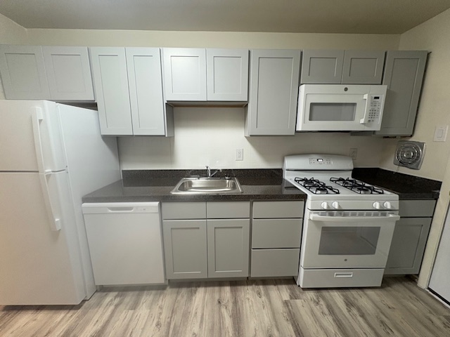 Photo1