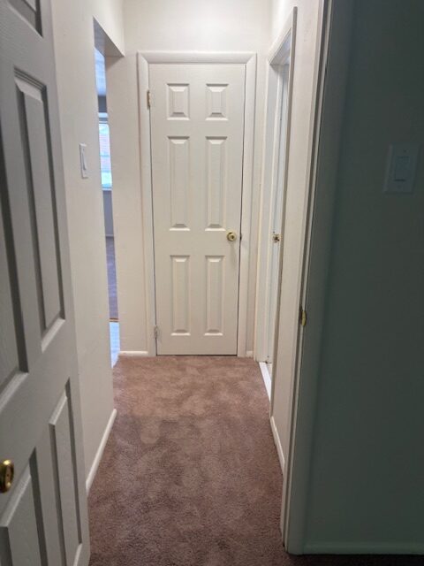 Photo1